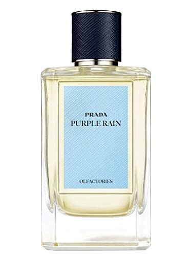 purple rain perfume